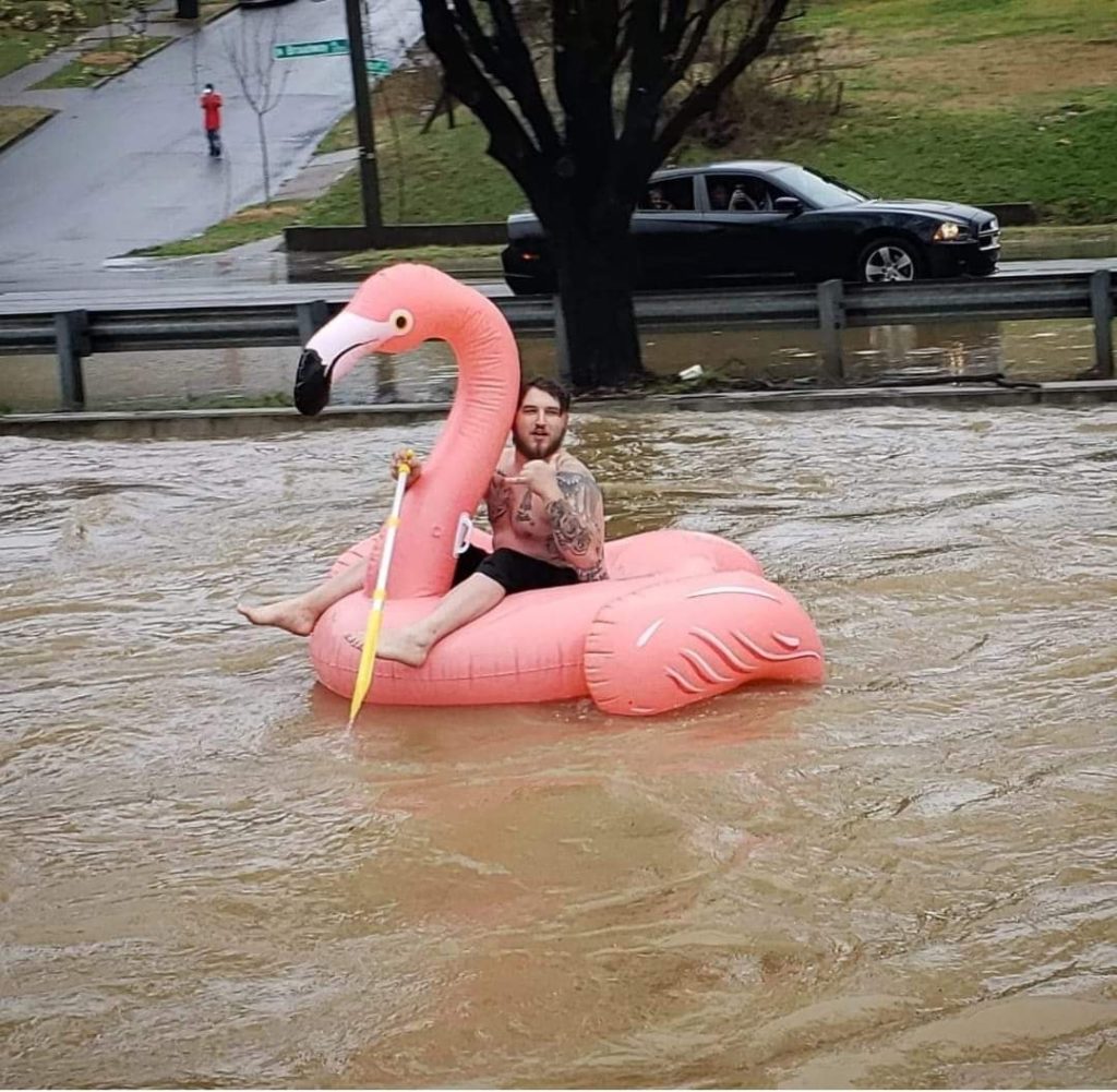 big floating flamingo