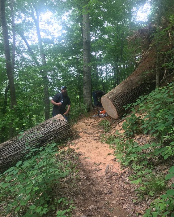 County crews clear trails at IC King Park