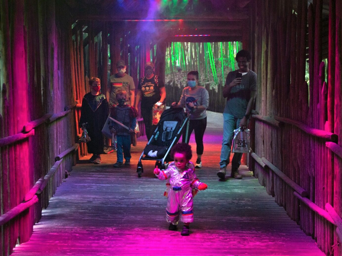 BOO! at the Zoo opens Saturday night Knox TN Today