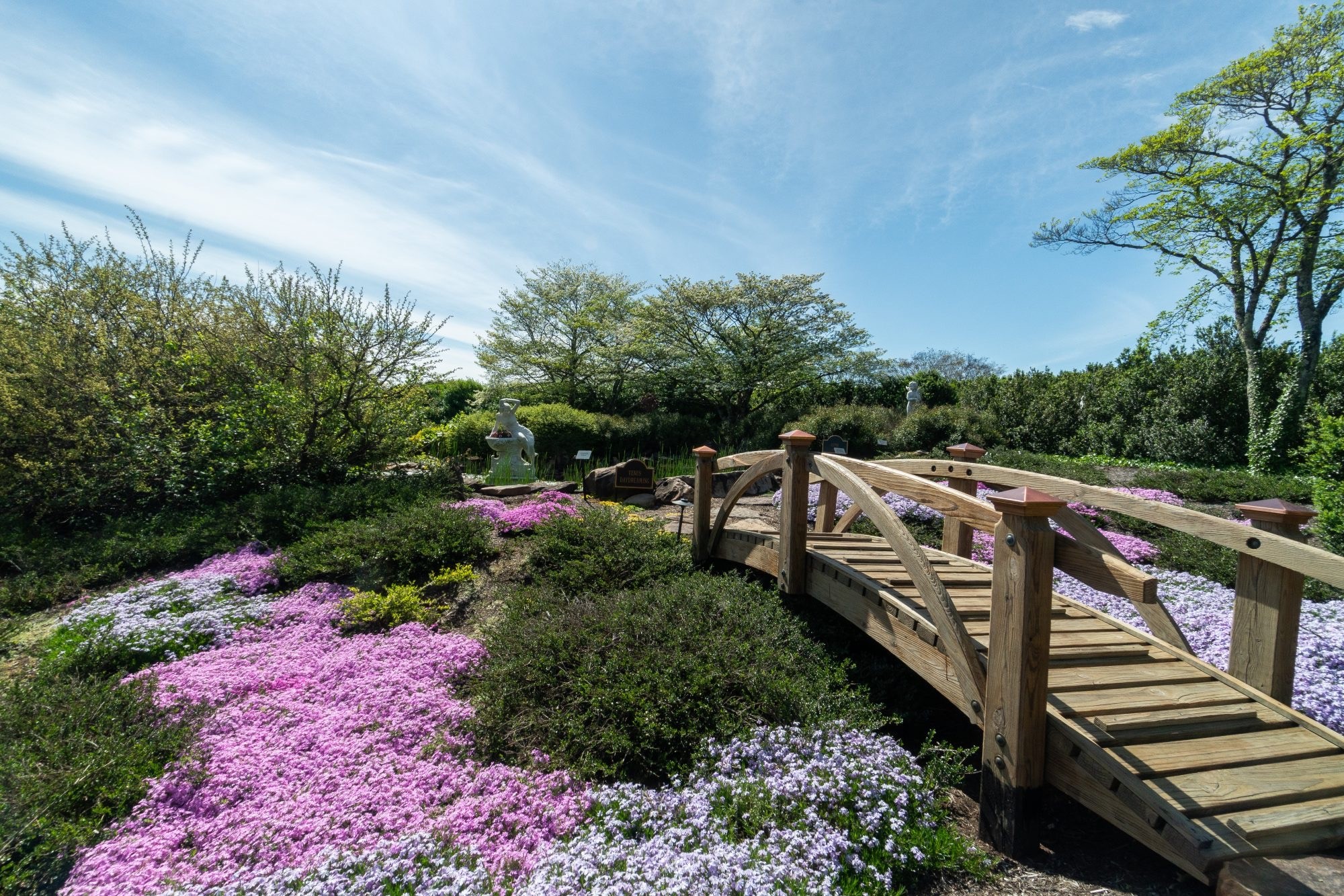 Baxter Gardens are blooming