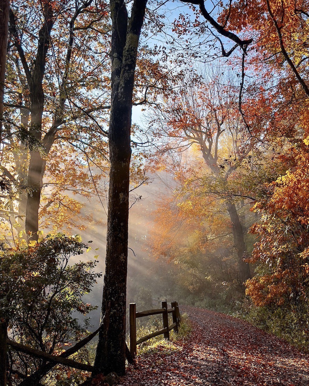 Preview of our October backroads!