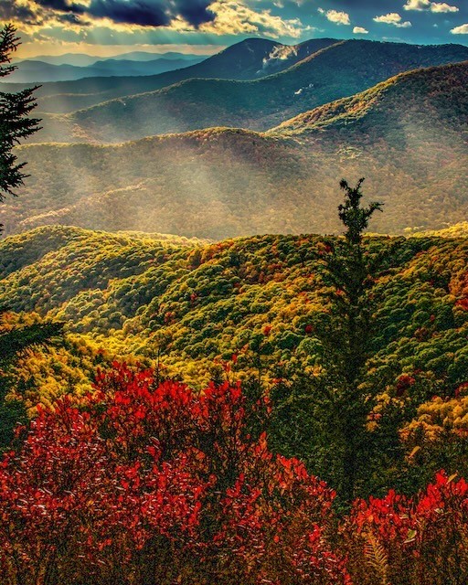 Sun rays shine on the parkway