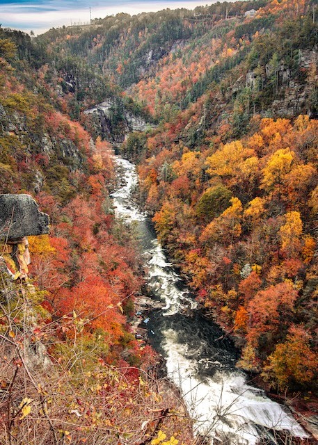 Late autumn color in Tallulah Gorge