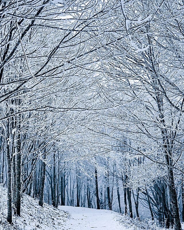 Nature’s Icy Cathedral on New Year’s Eve