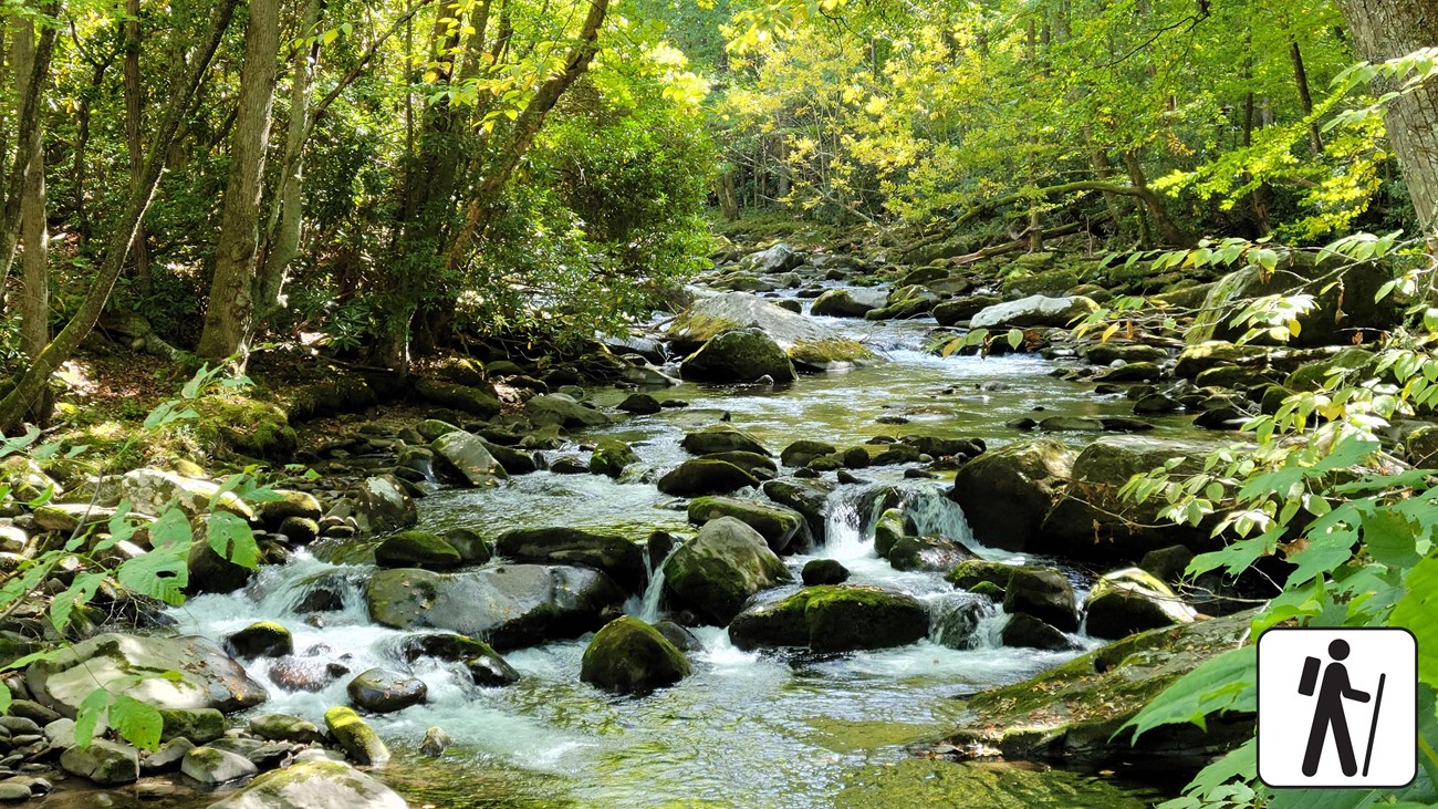 Hiking the Little River Trail