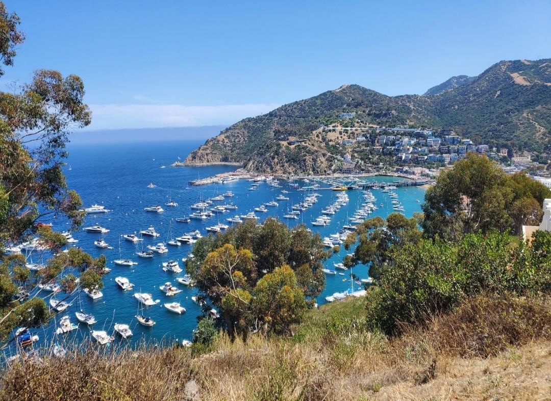 Catalina Island: Paradise off the California coast