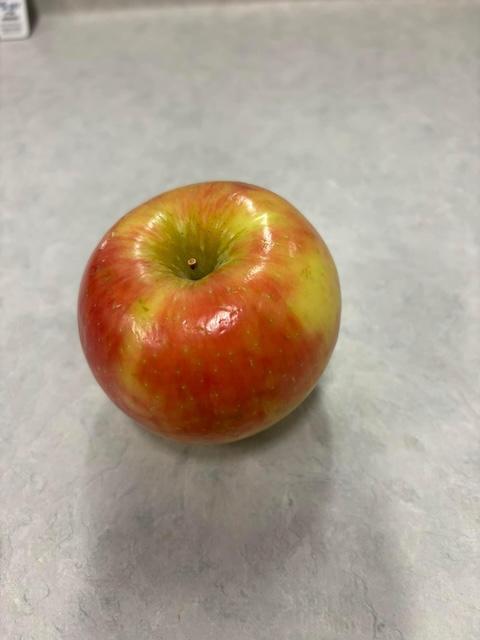 An apple for the teacher