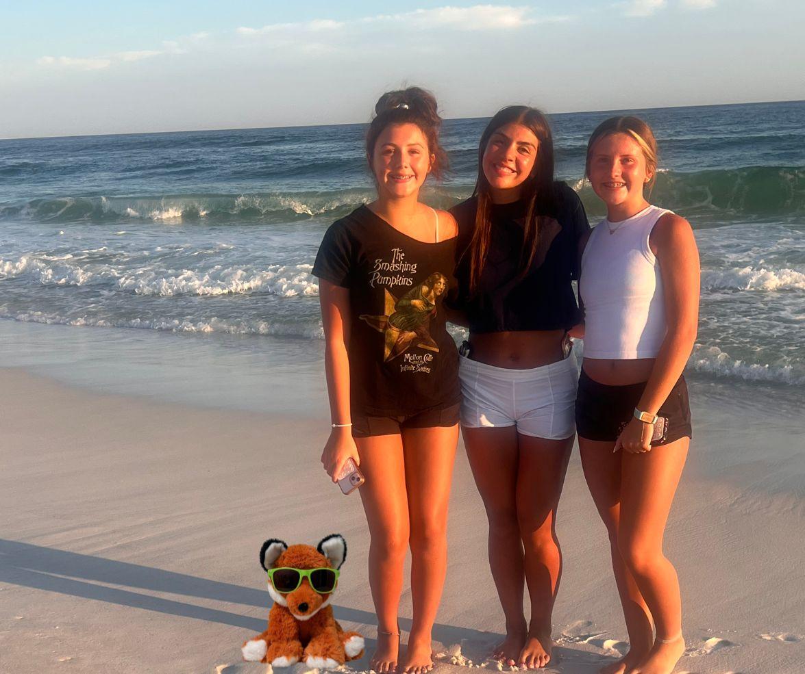 Knox the Fox in Destin: Avoids Milton