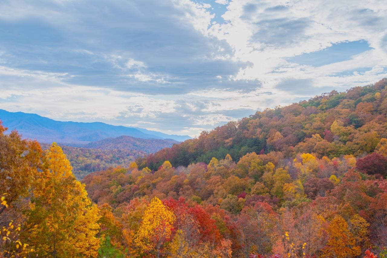 Surge of colors in the mountains