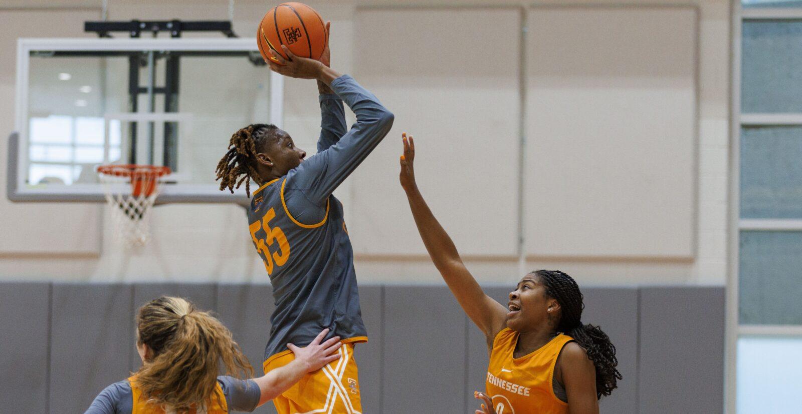 Sales open for Lady Vols basketball single game tickets