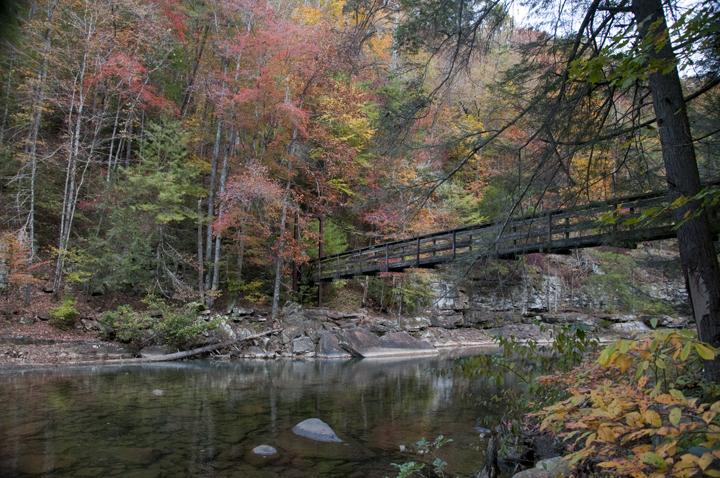 Piney River Trail: Favorite hike for Lights