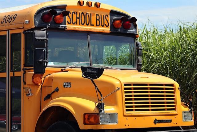 How did school buses get yellow?