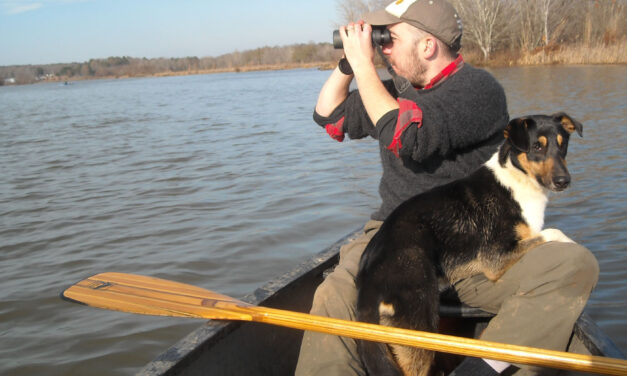 Paddle Georgia plans June 2025 adventure