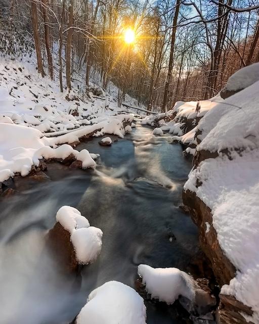 Badger’s senses come alive in the snowy creek 