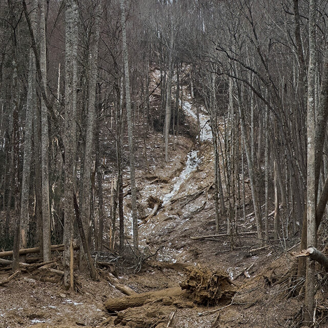 On Badger’s agenda? Chasing a frozen waterfall